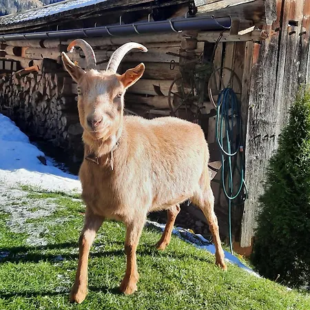 Appartement Rieder Gerlos