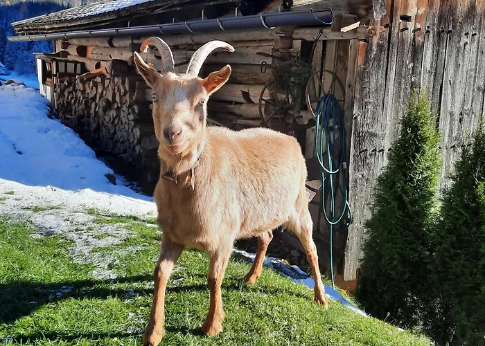 Appartement Rieder Gerlos